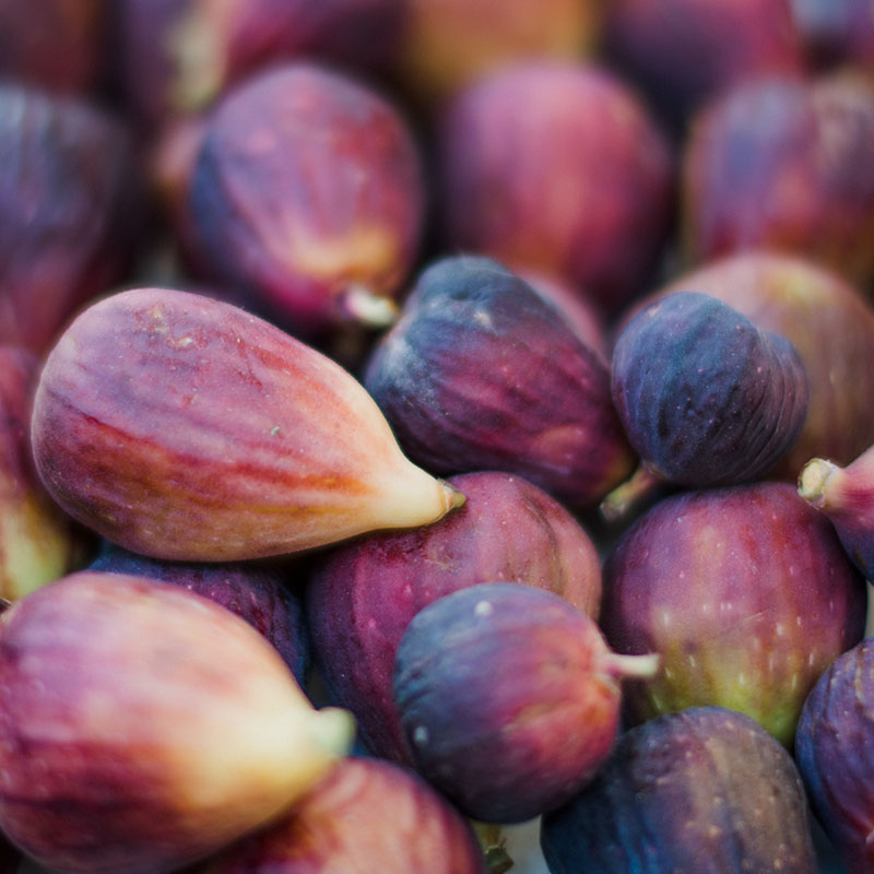 images_fruit_le_petit_marche_pontois